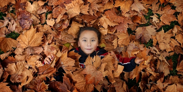 SEASONAL: Leanne Tauia, 6, covered in autumn leaves.PHOTO/JOHN BORREN