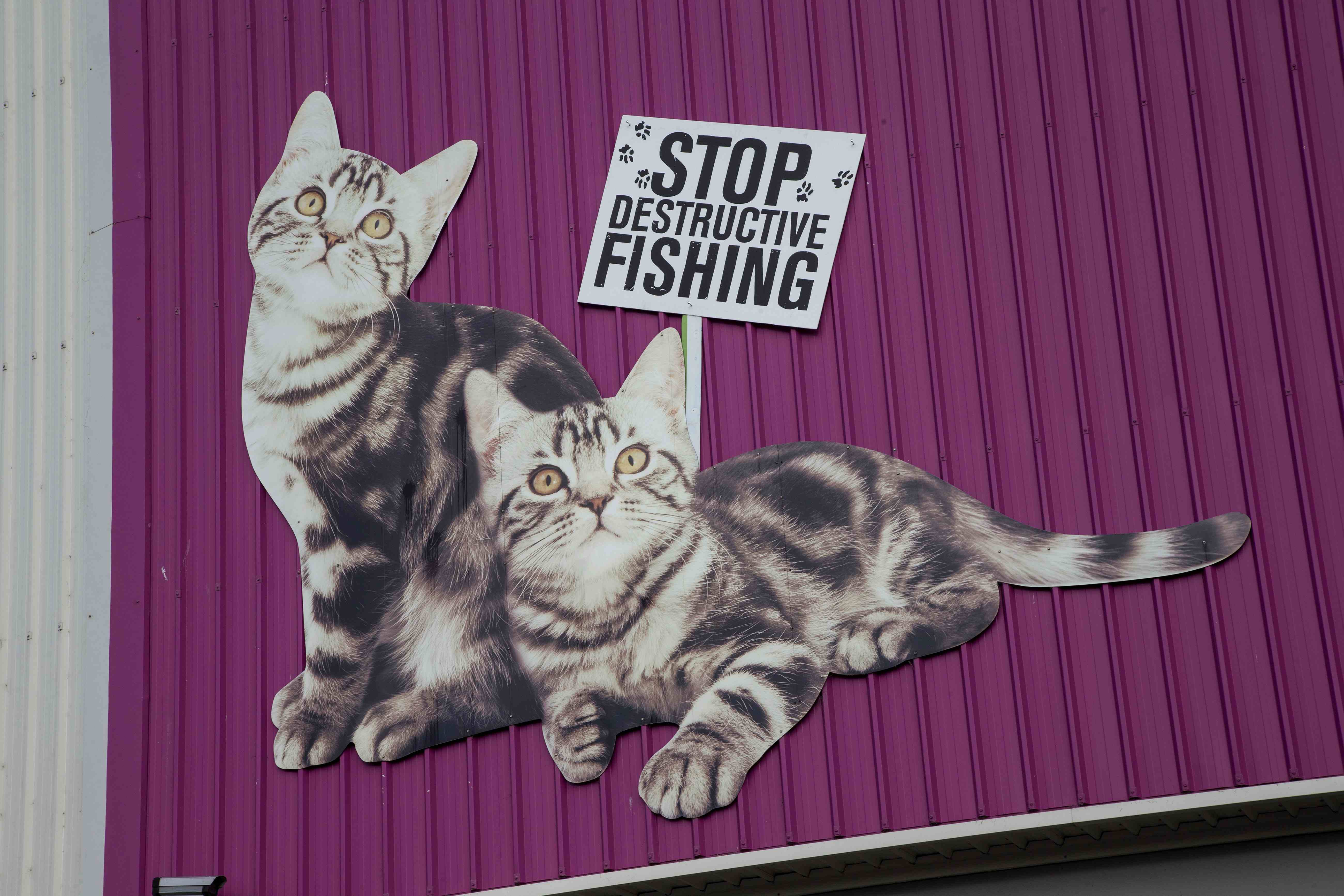 Whiskas cats are turned into 'cativists' with protest placards. Photo / Greenpeace