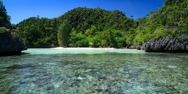 Wayag Beach is fringed by coral reef and surrounded by greenery. Photo / Supplied
