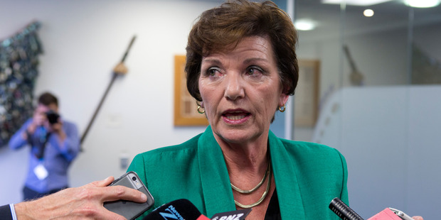 Social Development Minister Anne Tolley said in the past the sector has been fragmented and has struggled to meet demand. Photo / Mark Mitchell
