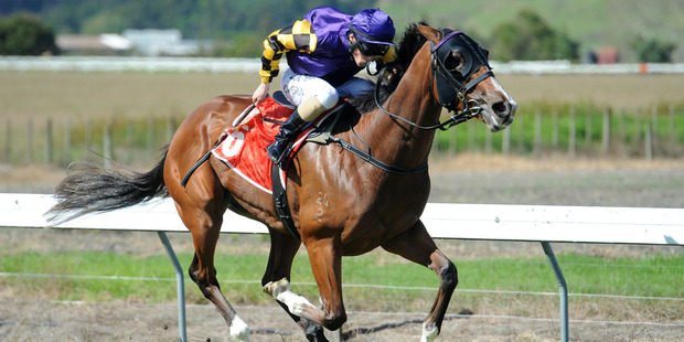 Lucky Heights is set for another bold showing today at Ruakaka. Photo / Race Images