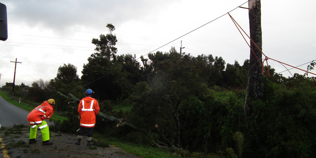 Buller Electricity linemen repair power lines felled when lightning blasted a nearby tree on Stafford St in Westport. Photo / Lee Scanlon