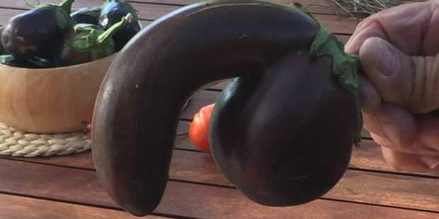 The phallic eggplant is being sold on Trade Me with proceeds going to the New Zealand Prostate Cancer Foundation. Photo / Supplied
