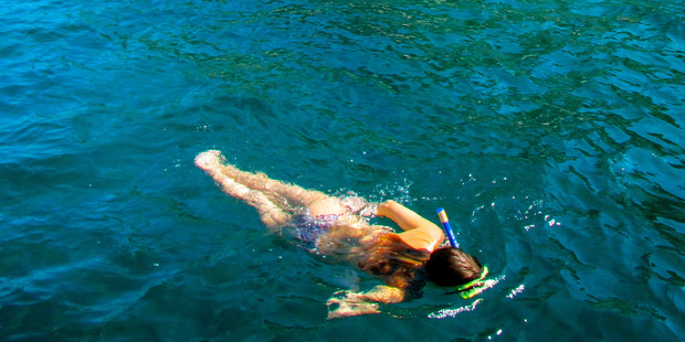 Snorkelling is superb in Tioman Island.