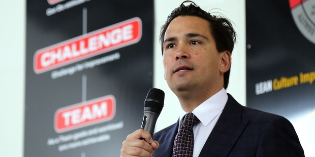 Energy Minister Simon Bridges. Photo / Stuart Munro