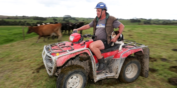 Waiotira dairy farmer Peter Skelton believes next month's 10 cents per Fonterra share dividend will help cash-strapped farmers but not those who did not hold full shares. Photo / Michael Cunningham
