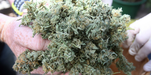 A 56-year-old Masterton woman has been arrested and charged with three counts of supplying cannabis and three counts of possession for supply. PHOTO/FILE