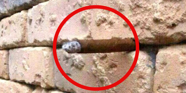 Identified: The image has gone viral as people have spotted a hidden optical illusion of what appears to be a cigar poking out from the wall.