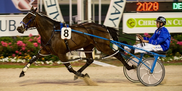 Dream About Me has opened as the $1.75 favourite for the NZ Oaks at Addington. Photo / Dean Purcell