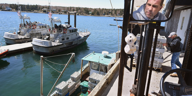 Aaron Bernstein, top, is reflected in a mirror as he and Brian Bunker, right, work on unloading a boat with lobsters from Cranberry Isles Fishermen's Co-op. Photo / The Washington Post