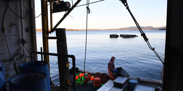 Josh Kane works on a lobster boat as it sits by a dock on Friday April 29, 2016, in Islesford, Maine. Photo / The Washington Post