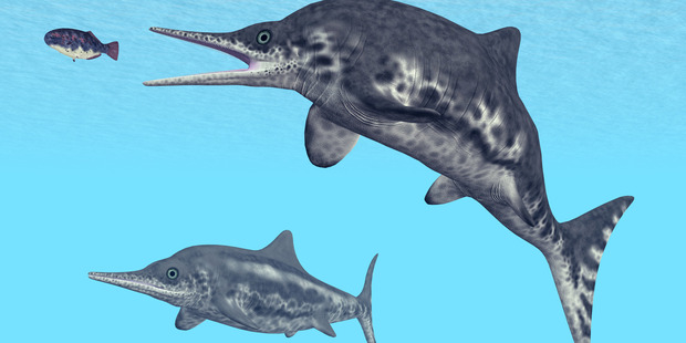 A computer generated 3D illustration of an Ichthyosaur. Photo / Getty Images