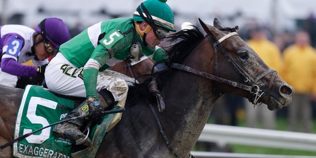 Exaggerator moves past Nyquist at the top of the straight. Picture / AP