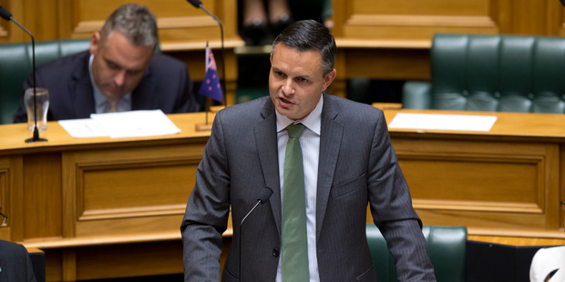Greens co-leader James Shaw. Photo / Mark Mitchell