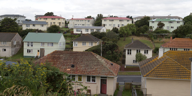 In major reforms of the social housing sector, the National-led Government is transferring thousands of state houses to NGOs, iwi, and charities. Photo / Mark Mitchell