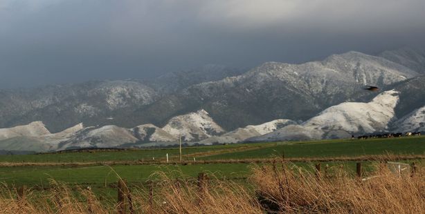 Dark clouds gather above snow on the foothills behind Rua Roa, Dannevirke. Photo / Christine
