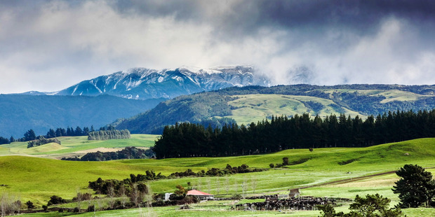 Snow on the Kaweka ranges West of Napier. Photo / Paul Taylor