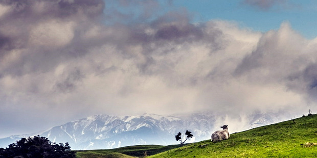 The first snow of the season on the Kaweka Range west of Napier. Photo / Paul Taylor