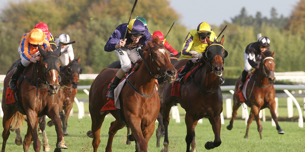 Let Me Roar wins at Te Rapa. Photo / Trish Dunell