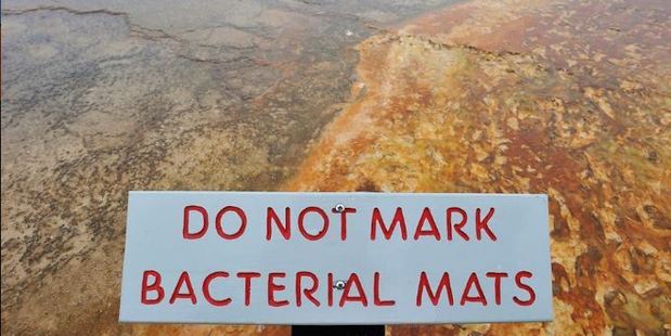 When people walk on the bacterial mats of the hot spring it makes white footprints and causes damage. Photo / imgur