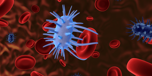 Over the long term, a superbug could render antibiotics useless. Photo / iStock