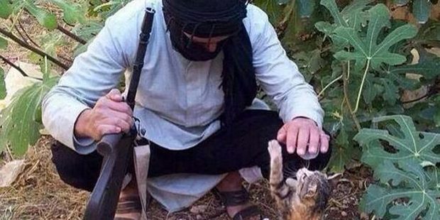 Isis has seized on the internet cat craze.