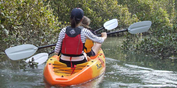 Paddlers explore the Hidden Valley. Photo / Peter Townend