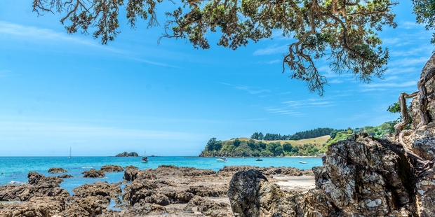 The battle, which centres on a 300ha coastal property, has been described as a sad affair by one of the lawyers involved. Photo / Getty Images