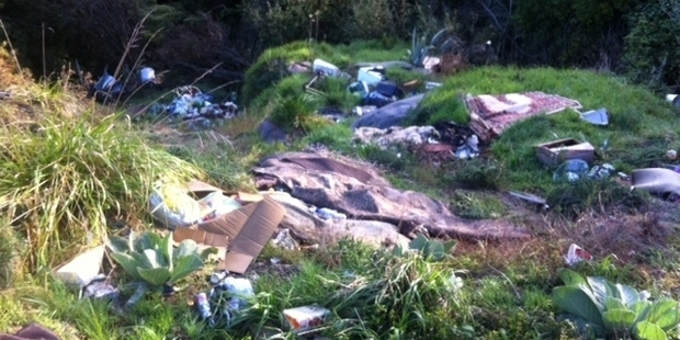 THAT'S RUBBISH: State Highway 4 resident Jill Gregory was horrified by this pile of rubbish dumped down a bank near Aberfeldy.PHOTO/ SUPPLIED