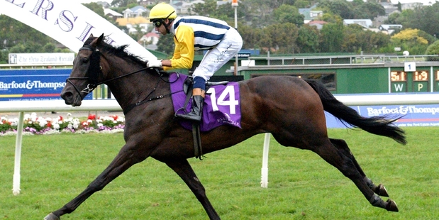 Provocative is guaranteed a start in the Queensland Oaks. Photo / Race Images