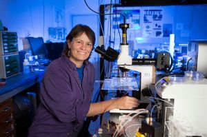 Engender Technologies builds off the cutting-edge photonics work of Associate Professor Cather Simpson. Photo / Supplied