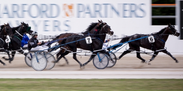 Chase The Dream (No6) will appreciate not having Lazarus (No7) hounding him. Picture / Dean Purcell