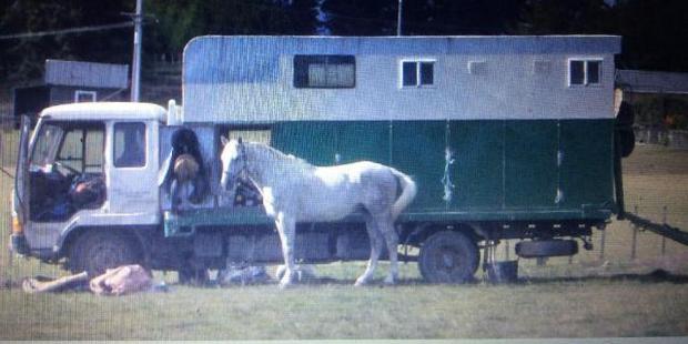 Anyone who has seen the horse truck is asked to contact police. Photo / Supplied via police