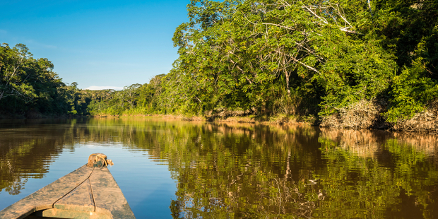 The exquisite Manu National Park. Photo / iStock