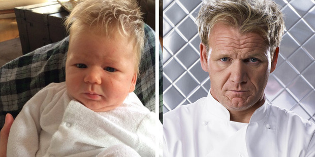Maybe Gordon Ramsay's found himself an adorable minion for Hell's Kitchen?