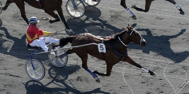 Roddy Butt has no reason to feel guilty about inheriting his grandfather's red and gold silks as Custodian wins the Harness Jewels 2-y-o trot. Photo / Trish Dunell
