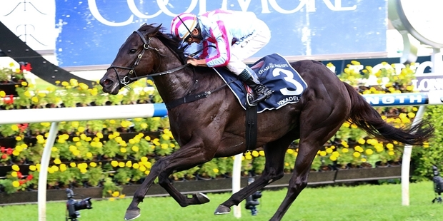 Azkadellia is the $4 favourite for the Stradbroke Handicap on Saturday. Picture / Darryl Sherer