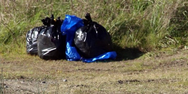 LAZY LITTERING: This pile of rubbish - most of it recyclable - was illegally dumped at South Beach.PHOTOS/STUART MUNRO