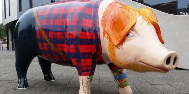The artwork is titled Ed Sheer-Ham and is one of 40 sculptures that have been placed around Ipswich as part of the Pigs Gone Wild trail. Photo / Suffolk City Council