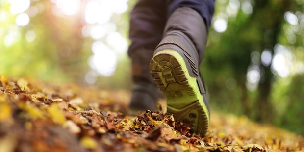 Get outside and enjoy those colours. Photo / 123RF