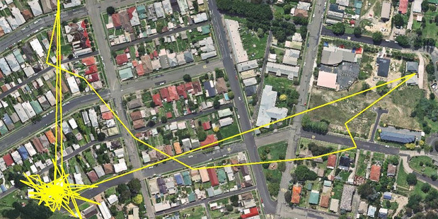 If Gareth Morgan strapped a GPS tracker to your cat, this would be the likely satellite image of his/her gadding about. Photo / Supplied