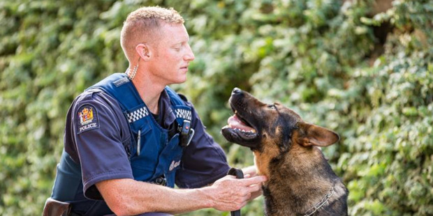 Police dog Gazza with handler Josh Robertson. Photo via Facebook/NZ Police