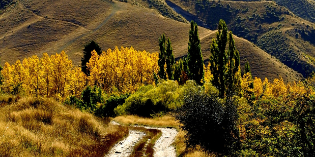 Skippers Canyon, Central Otago. Photo / Destination Queenstown