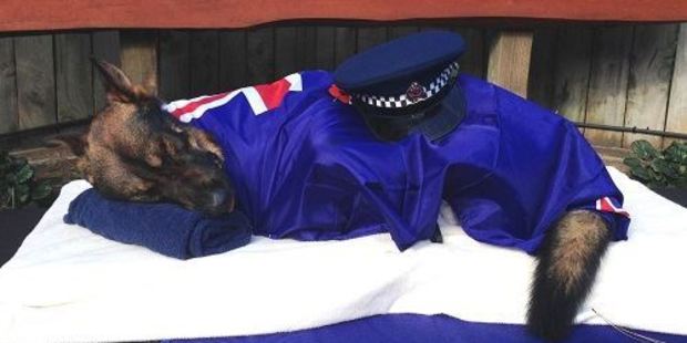 Wellington police dog Gazza is farewelled. Photo via Facebook/NZ Police