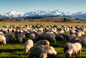 The Takitimu mountain range. Photo / Tourism Southland