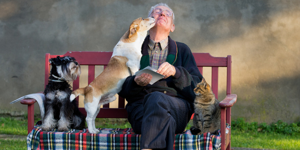 Dogs can be invaluable additions to the lives of our elderly friends and family. . Photo / Thinkstock