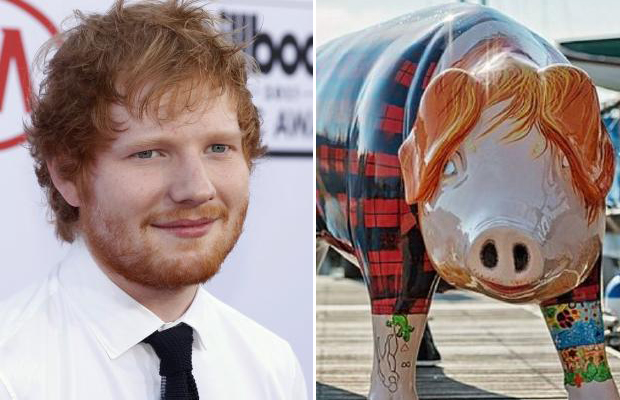 Ed Sheeran, meet Ed Sheer-Ham. Photo / Suffolk City Council Twitter