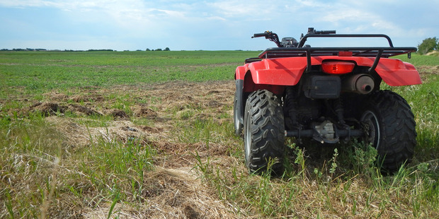 The woman was feeding stock when the accident happened. Photo: iStock