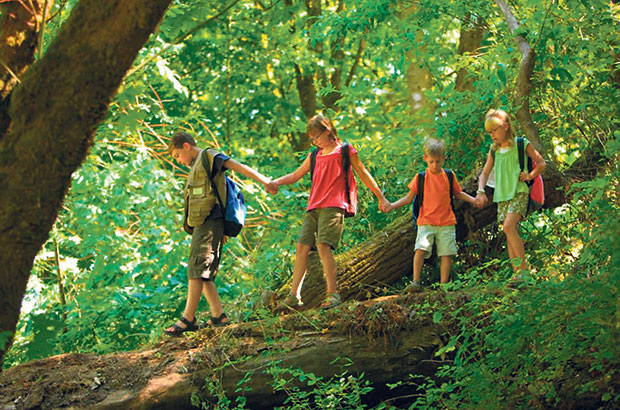 A woodland adventure for kids.