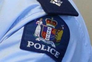 Waikato Armed Offenders Squad members went to Kennedy Bay, 15 kilometres north-east of Coromandel Town, and police confirmed a firearm was fired in the air